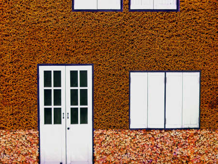 Window and orange sponge dish backgroundの写真素材