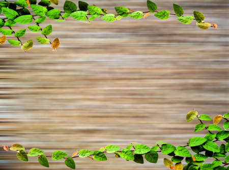green leaves border on blur wood  textureの写真素材