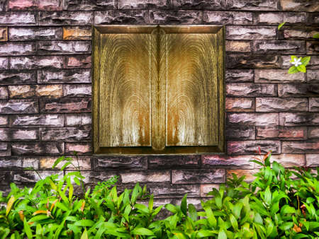 Ancient blick wall and green plant background has dry moss all surface