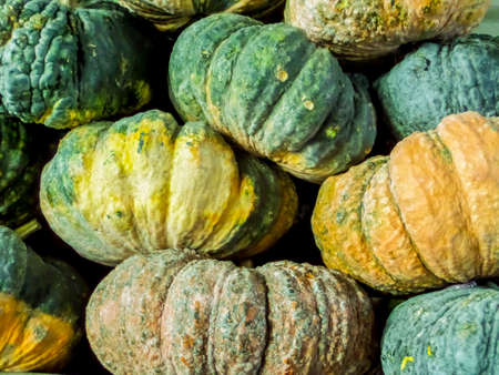 Fresh pumpkins from farm wait to send to sell at local marketの写真素材