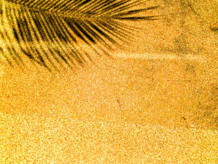 Palm leaves shadow on orange sandstone backgroundの写真素材