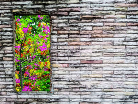 crack brick wall and  purple red yellow flower green tree colorful natureの写真素材
