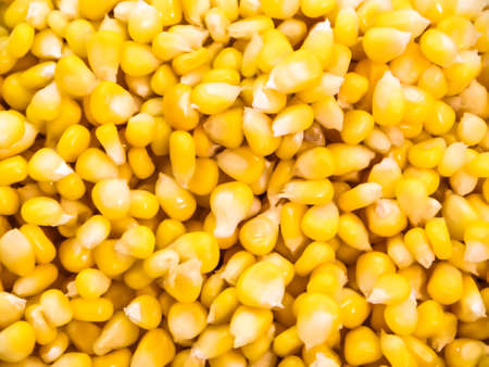 sweet corn vegatable for buffet backgroundの写真素材