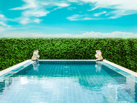 clean and clear swimming pool and the blue sky white cloud and green plant backgroundの写真素材