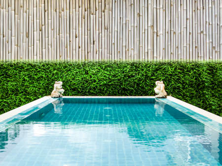 swimming pool and  green plant bamboo wall backgroundの写真素材
