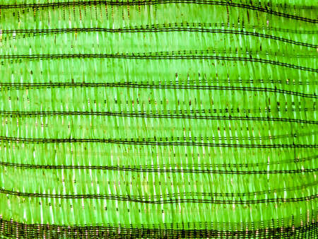 green transparent of sunshade sheet use in agricultureの写真素材