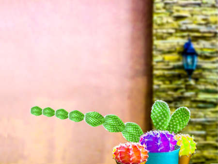 green cactus long hand and three cactus color ball friend and wall backgroundの写真素材