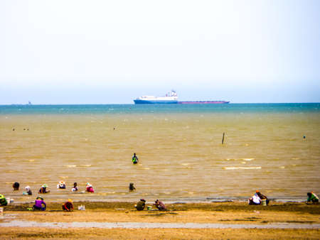 Many people find shell crab and fresh seafood in the sea after heavy rain fall that to make two color on seaの写真素材