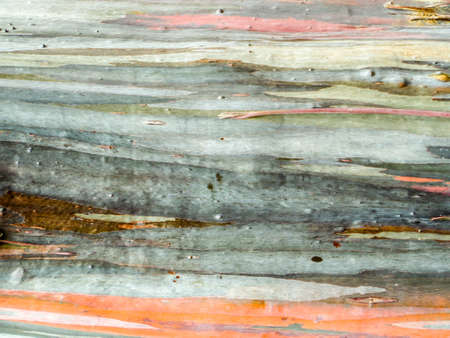colorful of skin wood earth tone horizontal line backgroundの写真素材