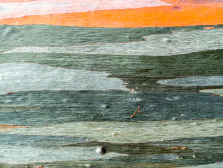 colorful of skin wood earth tone horizontal line backgroundの写真素材