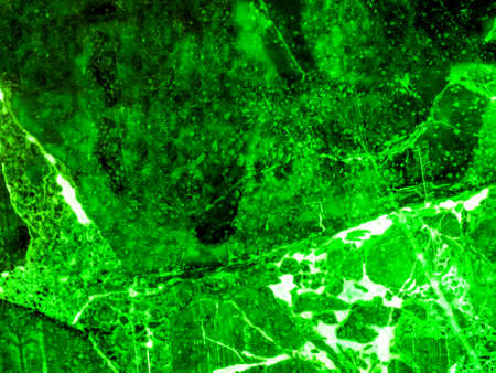 emerald luxury marble and crack on surface