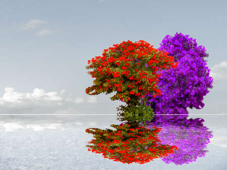 colorful flower on tree reflection dark sky cloud and water surface of lakeの写真素材