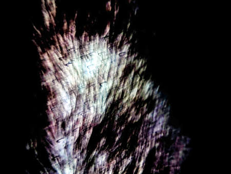cat tail abstract dark background