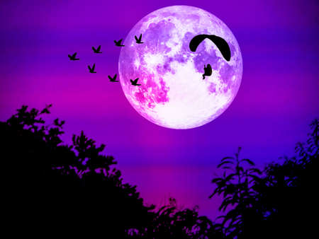 paramotor follow birds flying and super moon in light night skyの写真素材