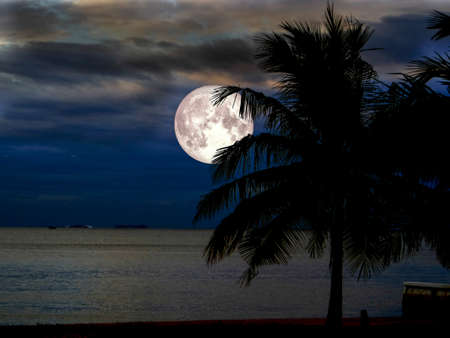 super moon and silhouette coconut on beach in night skyの写真素材