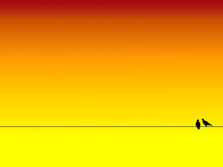 twin bird and color of sunset and clear skyの写真素材