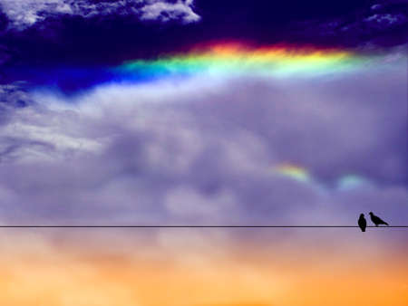 two bird hang on power electric line rainbow on sky in eveningの写真素材