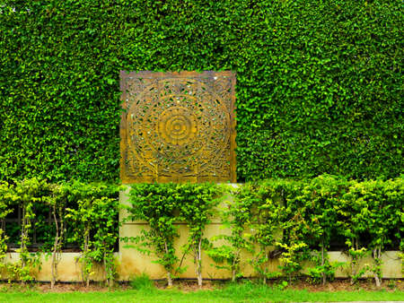 green plants of wall nature and sandstone flower art in the gardenの写真素材