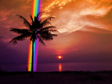silhouette palm tree rainbow in back and sunset sky in the seaの写真素材