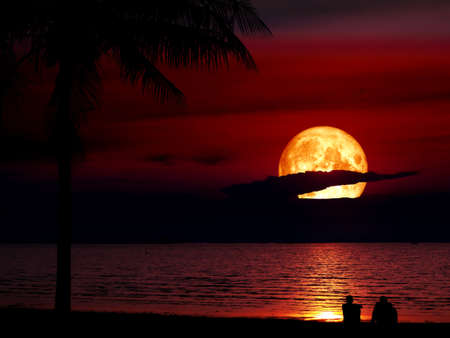 super blue blood moon and silhouette coconut men looking moon in night skyの写真素材