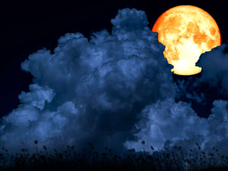 super full blood moon blue cloud silhouette grassの写真素材