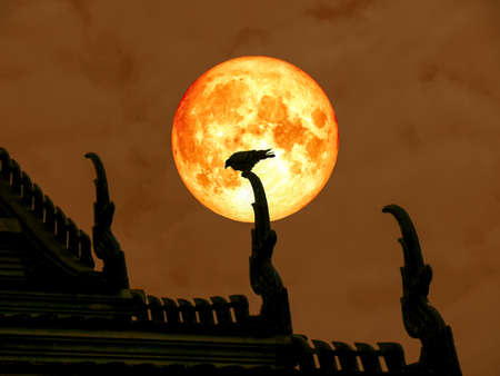 super full blood moon back of silhouette bird on temple roof, Elements of this image furnished by NASAの写真素材