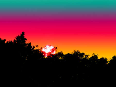 sunset back silhouette forest and colorful skyの写真素材
