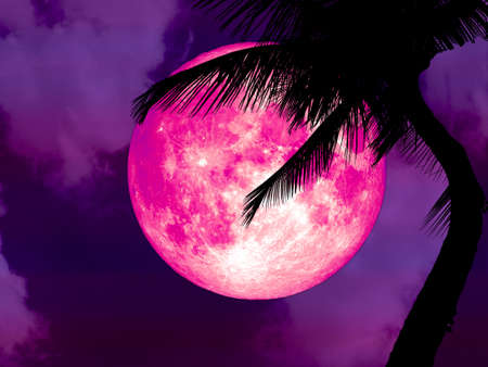 super pink moon back silhouette coconut palm tree, Elements of this image furnished by NASAの写真素材