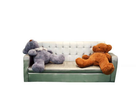 bears sleep on sofa bench in living room and wood floor white wall background, concept tried, finish...