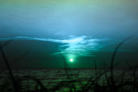 blur sunset on the sea and silhouette grass on beach colorful cold sky background