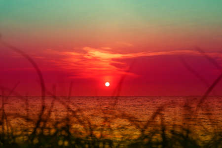 blur sunset on the sea and silhouette grass on beach colorful orange sky backgroundの写真素材