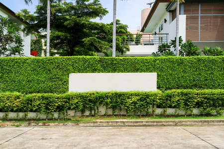 concrete wall and plant pattern wall fence nature around houseの写真素材