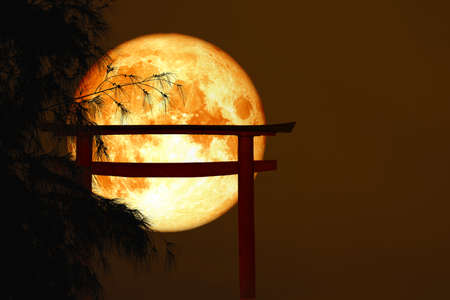 blood moon back silhouette torii wooden Japanese pillar stand on tree sunset sky.の写真素材