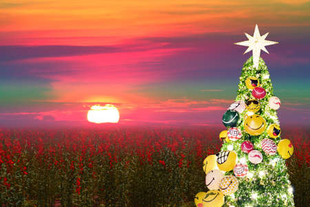 christmas tree sunset and sunhemp field colorful sky in christmas eve