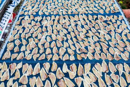 Deep dried fish is a way to preserve. may be risk of infection due to lack of hygiene, Should be cooked before eatingの写真素材