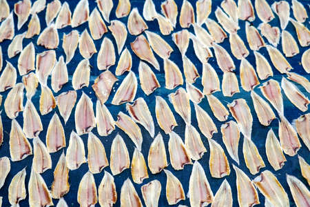 Deep dried fish is a way to preserve. may be risk of infection due to lack of hygiene, Should be cooked before eatingの写真素材