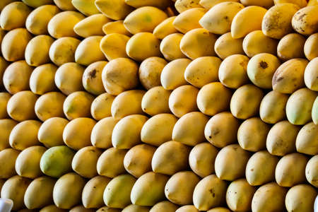 huge of mango background along street food and fresh fruit in Thailandの写真素材