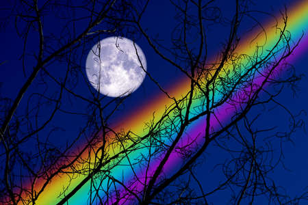 Full Buck Moon back on silhouette dry branch tree on night sky and rainbow, Elements of this image furnished byの写真素材
