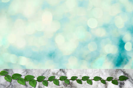 green leaves of  Mexican daisy nature border and light blue blur bokeh terrazzo floor background