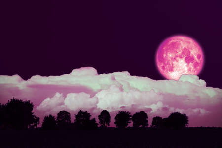 Full Strawberry Moon back silhouette trees in the fieldの写真素材