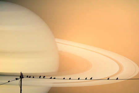 Saturn planet back silhouette birds on power electric lineの写真素材