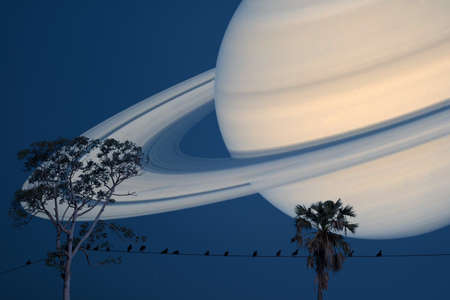 Saturn planet back silhouette birds on power electric line and between tree