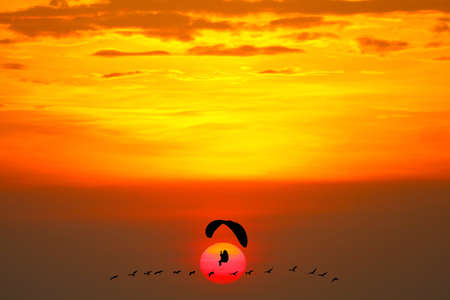 sunset flying birds and silhouette paramotor over sea and colorful red orange cloud on sky
