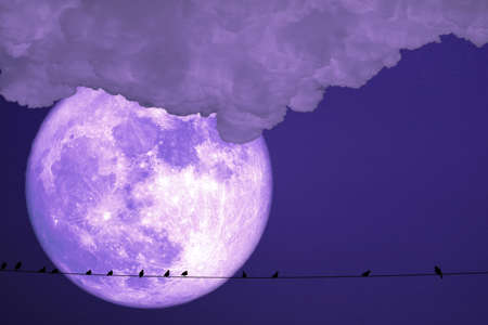 buck moon planet back silhouette birds on power electric line