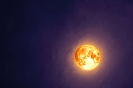 full blood Beaver Moon on dark cloud on the night skyの写真素材