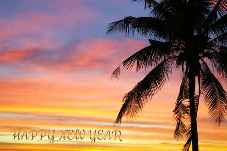 flame red orange yellow sky silhouette and happy new year text in sunset back on coconut treeの写真素材