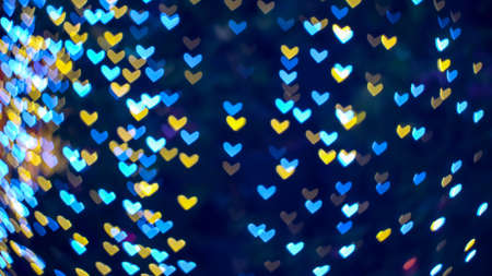 blur heart shape love valentine day on tree in garden night light cold toneの写真素材
