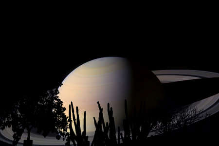 rings and saturn planet over tree on the field in night sky