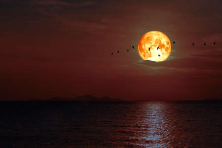 Full Snow blood Moon on night sky back cloud over dark sea
