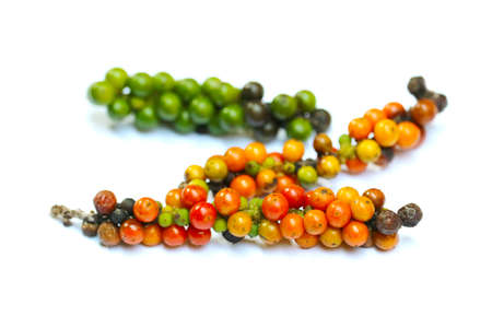 mix multicolor raw fresh and dry pepper isolated